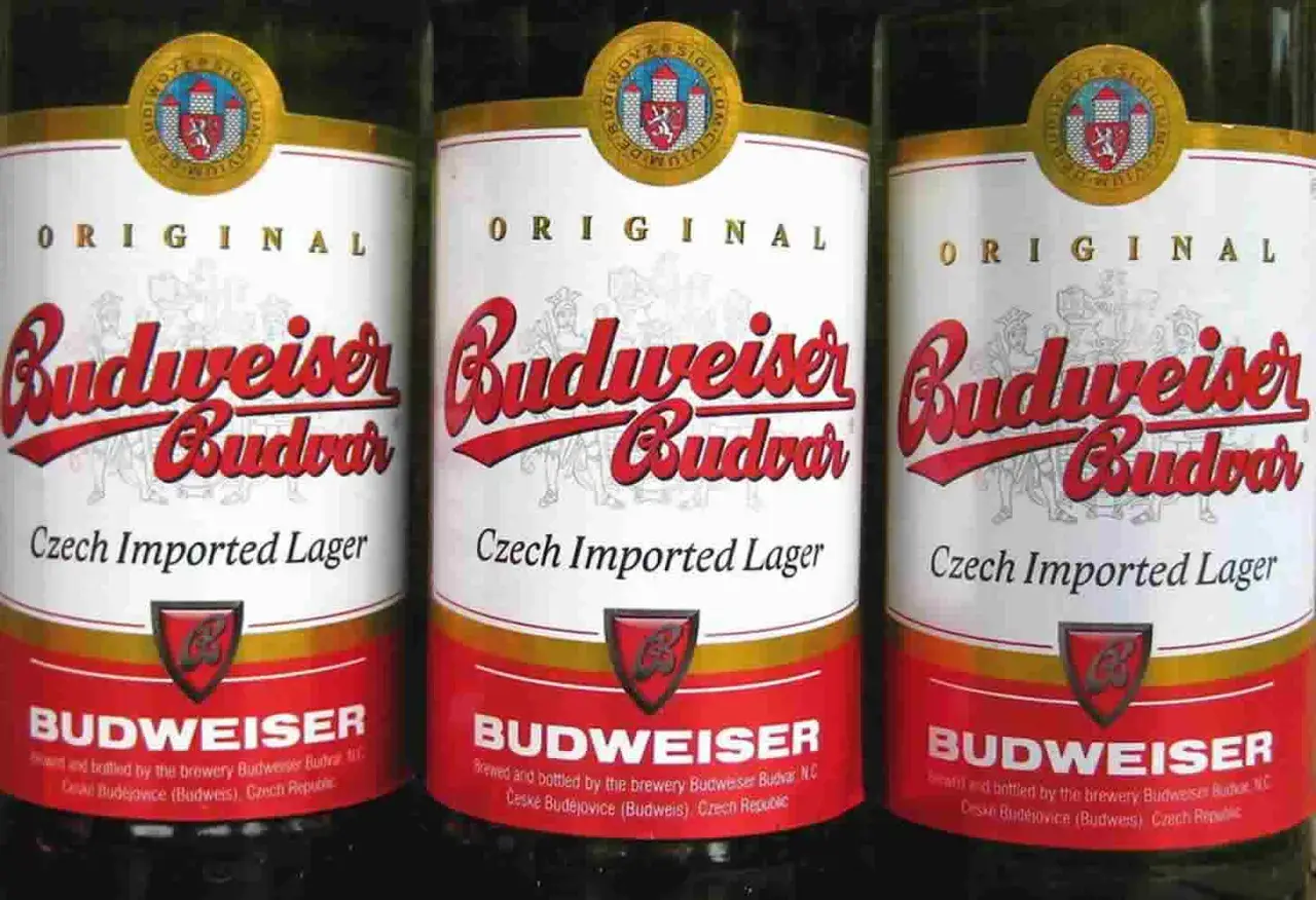 Trois bouteilles de bière Budweiser Budvar, bière tchèque importée, avec leur étiquette rouge et blanche originale.