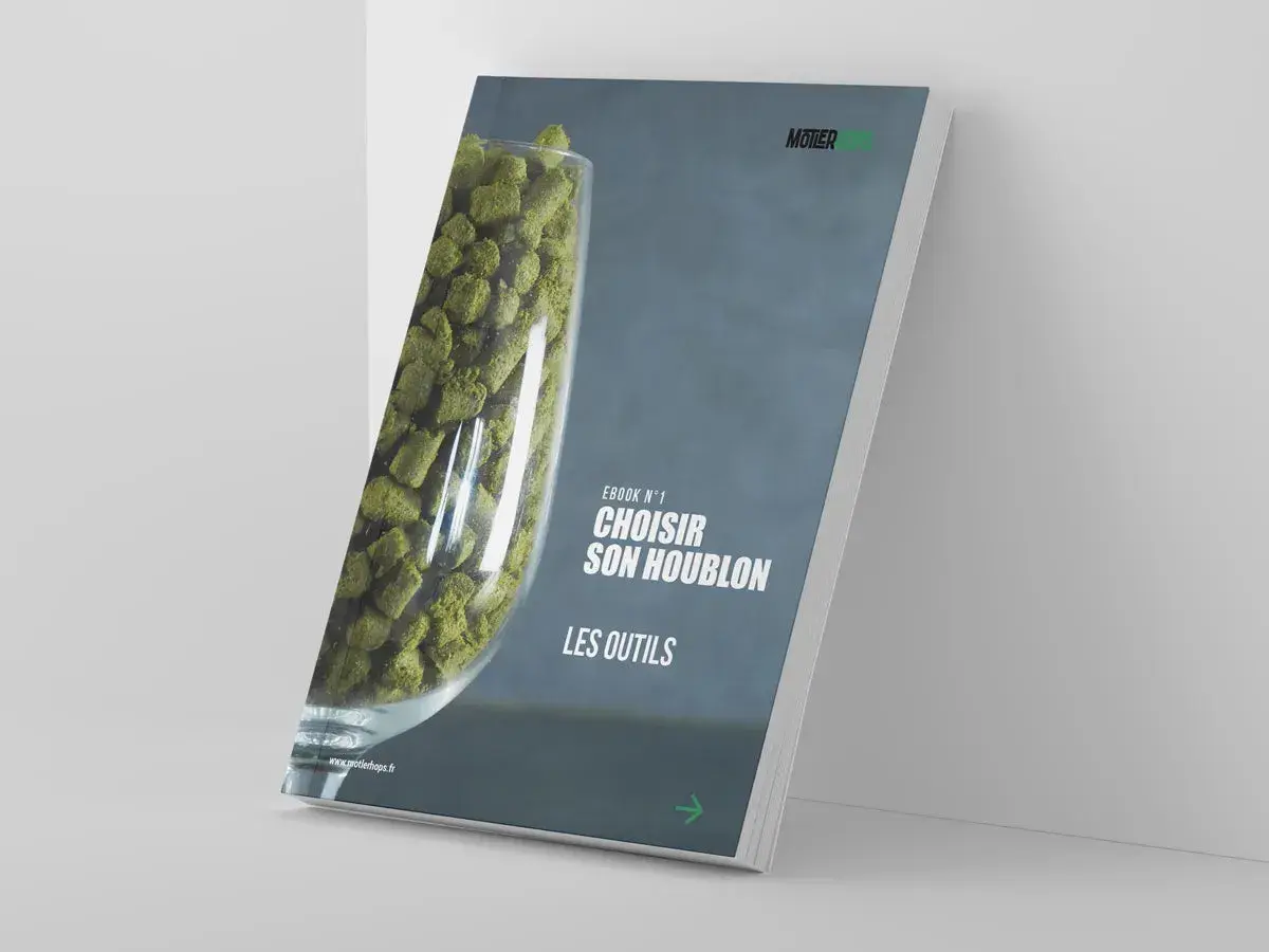 Ebook "Choisir son houblon" : un guide pour les amateurs de bière. Le houblon, ingrédient clé de la bière, est présenté dans un verre.
