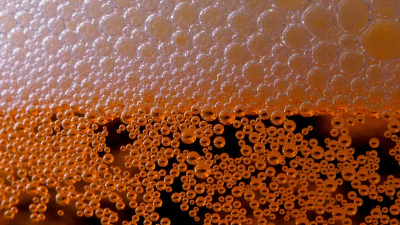 Bulles d'ibu beer, d'un orange doré, formant une mousse dense et pétillante.