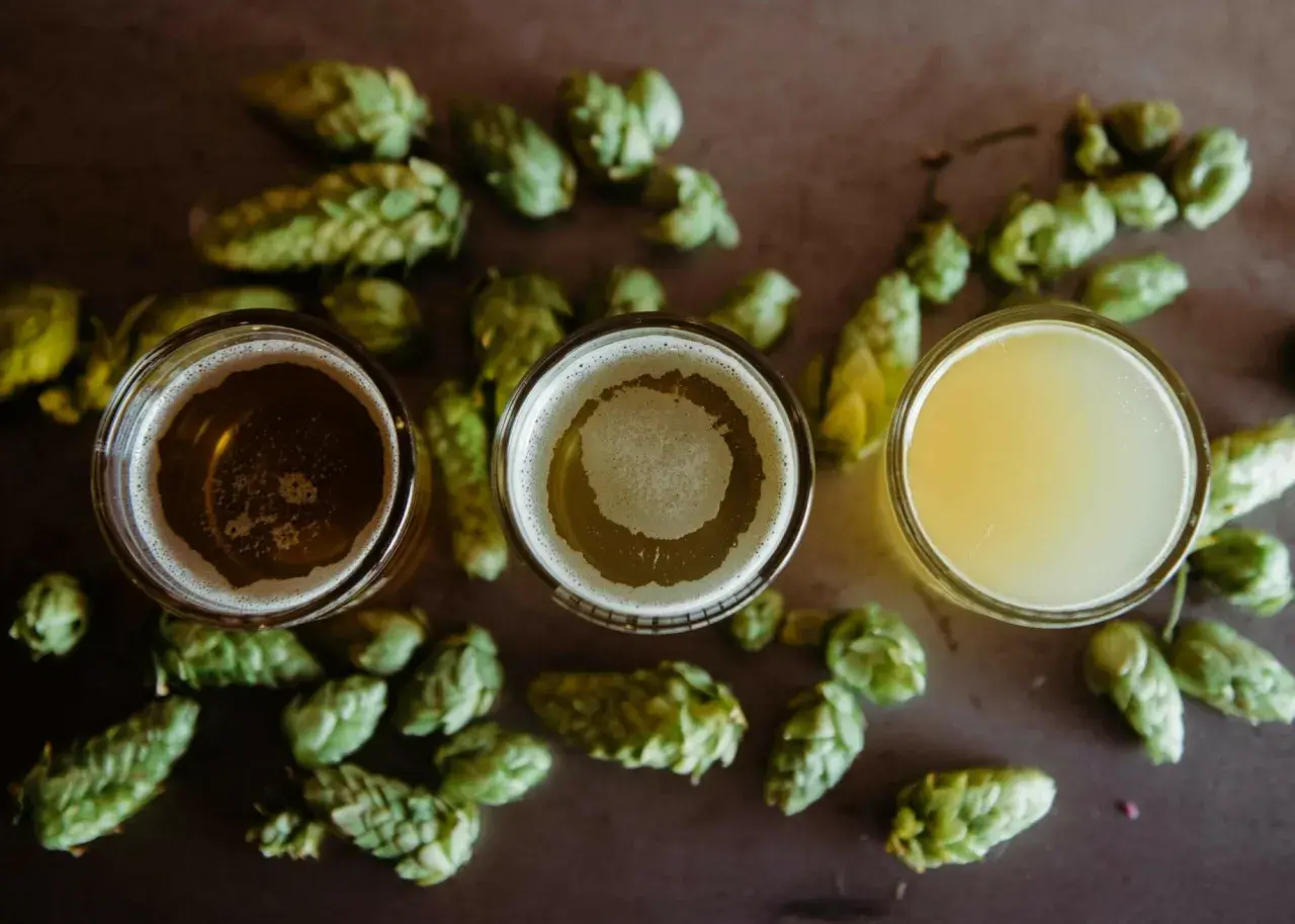 Trois verres de bière, entourés de houblon frais, prêts pour une fete de la biere.