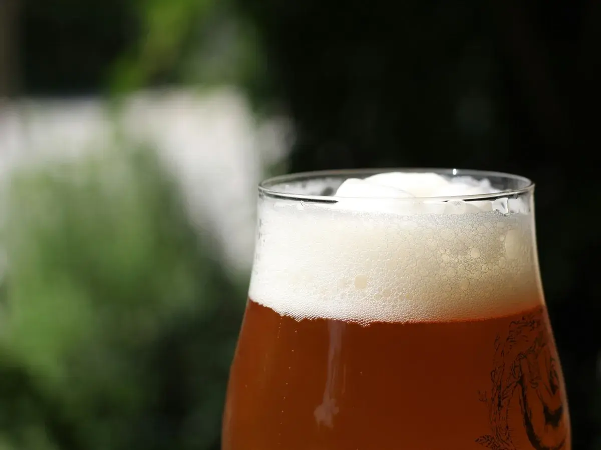 Verre de bière american amber ale, mousse abondante et dorée, avec un fond flou de verdure.