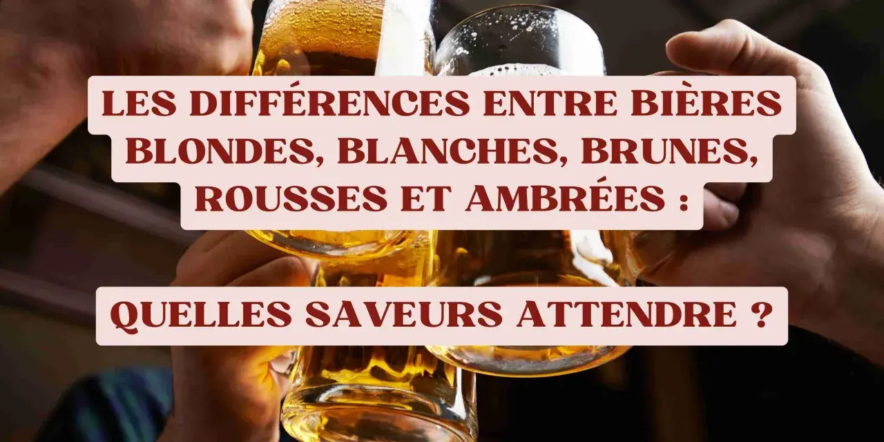 Des verres de bière aux différentes nuances de couleur bière, blonds, blancs, bruns, roux et ambrés.