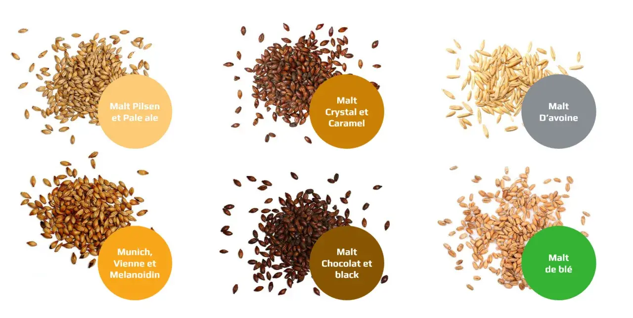 Six tas de grains : Pilsen, Crystal, D'avoine, Munich, Chocolat et blé. Chaque tas est accompagné d'une bulle descriptive, offrant un aperçu des différentes options de malt.