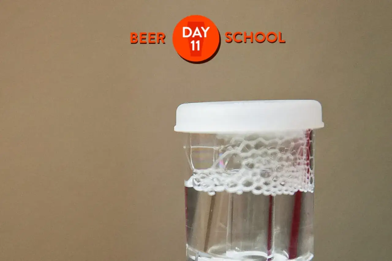 Jour 11 de la fermentation bi&egrave;re : une active formation de mousse dans un r&eacute;cipient.