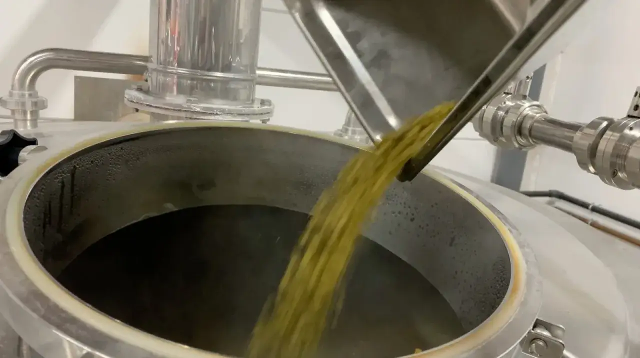 Ajout de houblon dans une cuve de brassage. Le hop stand est en cours, lib&eacute;rant des ar&ocirc;mes pour une bi&egrave;re savoureuse.
