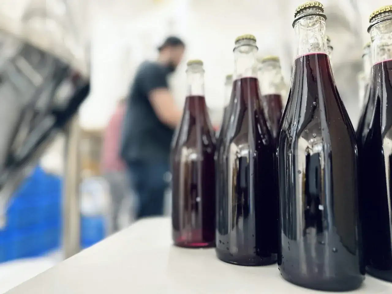 Bouteilles de boisson fonc&eacute;e, peut-&ecirc;tre du vin ou du kombucha, pr&ecirc;tes &agrave; &ecirc;tre embouteill&eacute;es. La levure sauvage a fait son travail.