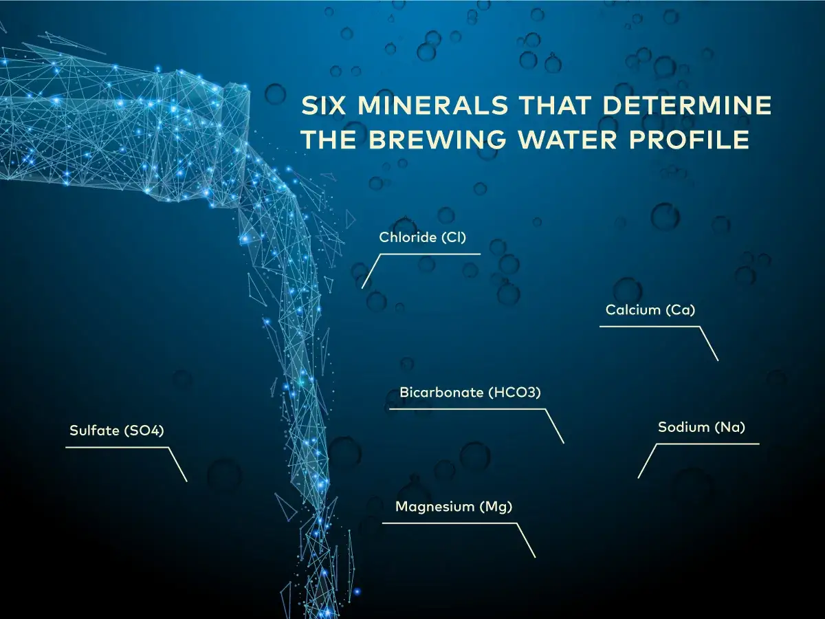 L'eau min&eacute;rale, riche en bicarbonate, est essentielle pour le profil de brassage. Six min&eacute;raux cl&eacute;s sont list&eacute;s.