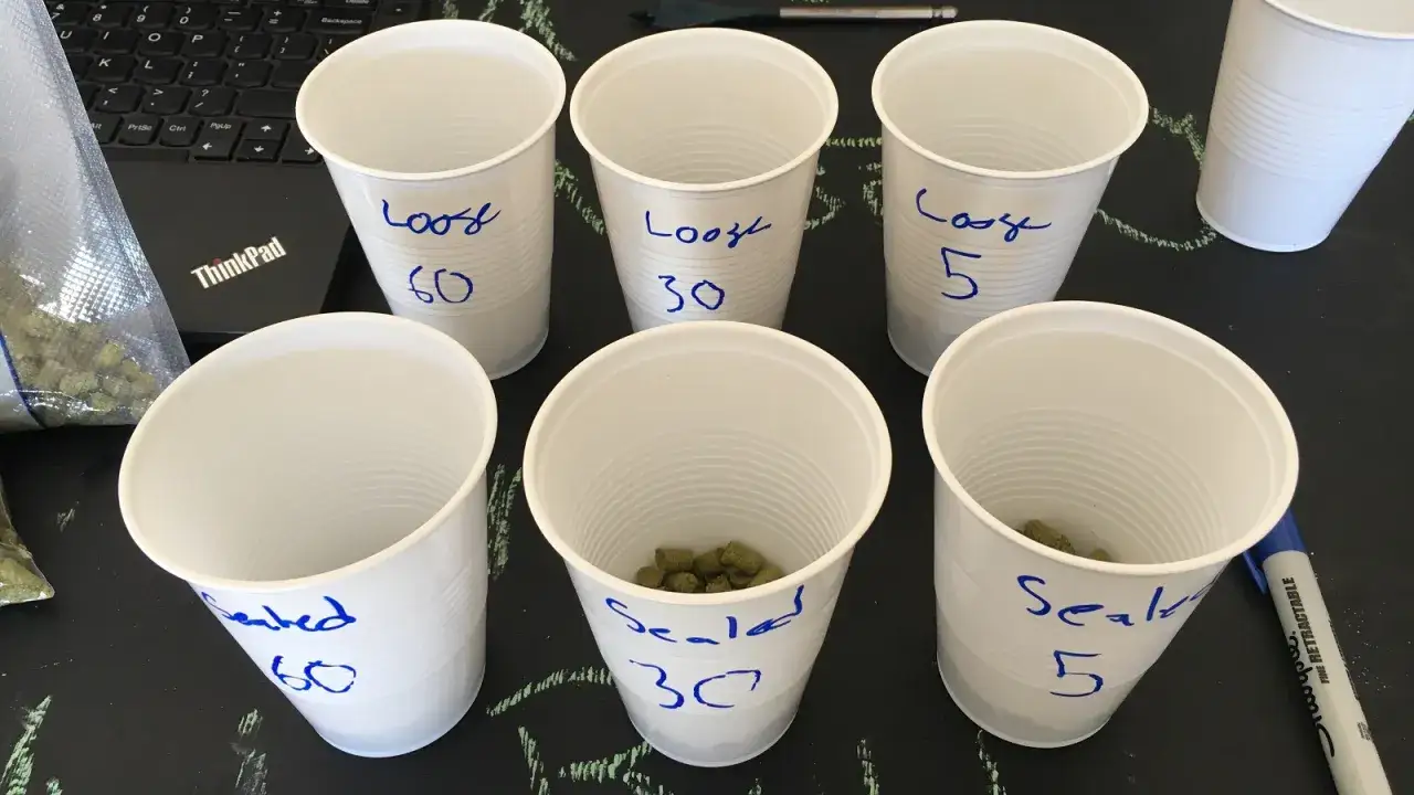 Six cups labelled 