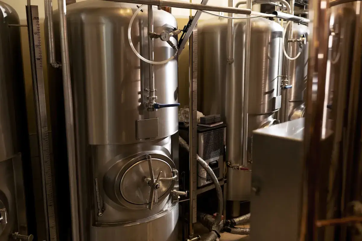 Cuves en acier inoxydable pour la fermentation haute, avec manomètres et vannes.