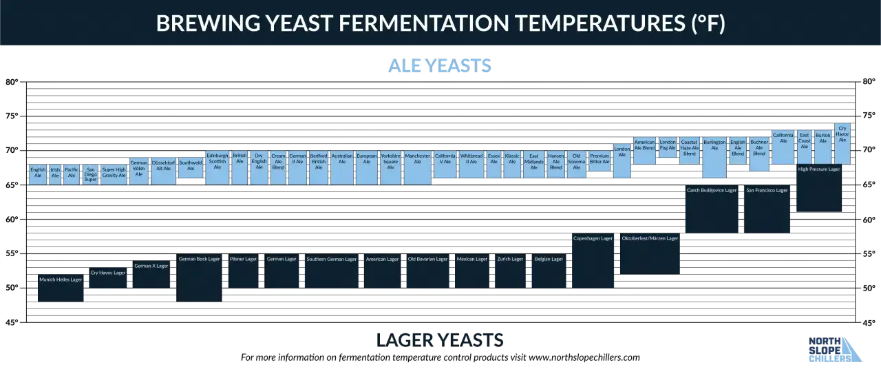 Graphique montrant la plage de température levure idéale pour différentes souches d'ale et de lager.