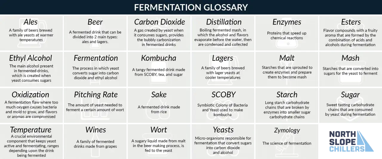 Glossaire de la fermentation : Ales, Lagers, et autres styles de bières expliqués. Comprend aussi la distillation, les levures et les esters.