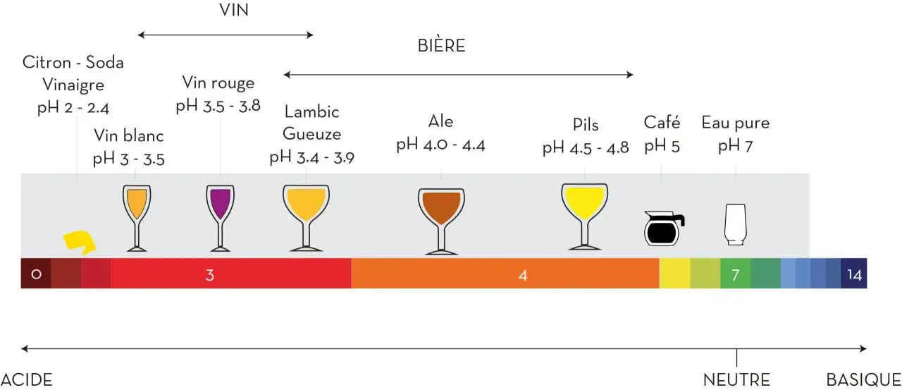 &Eacute;chelle de pH montrant des boissons comme le vinaigre, le vin, la bi&egrave;re (dont la sour ale), le caf&eacute; et l'eau pure.