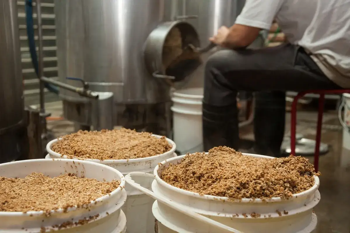Trois seaux remplis de drêches, un malt alternative, attendent dans une brasserie. Un brasseur travaille en arrière-plan.