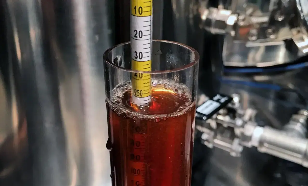 Mesure de la densité d'une bière en cours de fermentation. Le densimètre indique la progression de la durée fermentation bière.