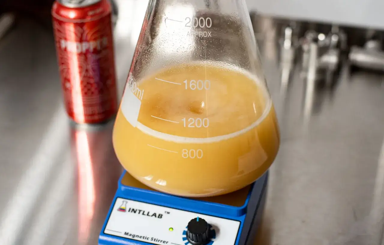 Un erlenmeyer rempli d'un liquide jaune trouble, sur un agitateur magn&eacute;tique. Une canette rouge est floue en arri&egrave;re-plan. C'est une &eacute;tape pour savoir comment faire sa levure.