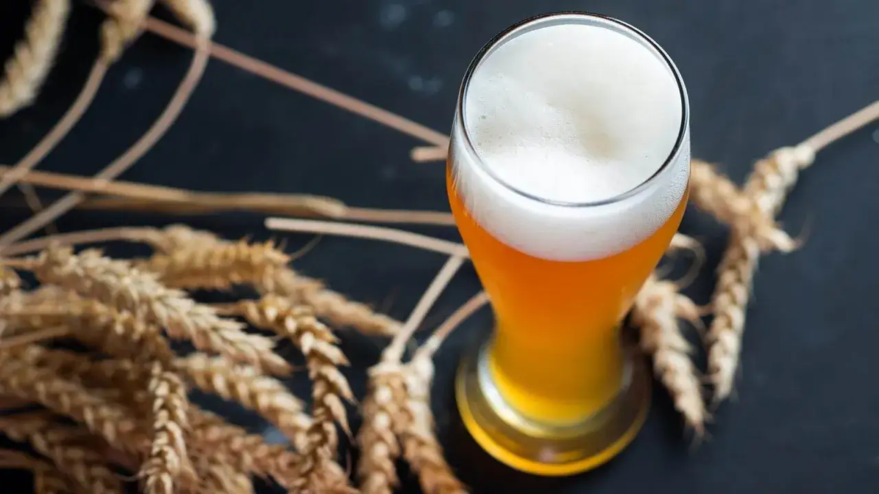 Un verre de berliner weisse, bière blonde et pétillante, avec une mousse blanche et aérée, entouré d'épis de blé dorés sur fond sombre.